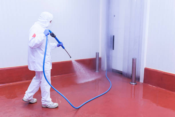  Newton, AL Pressure Washing Pros