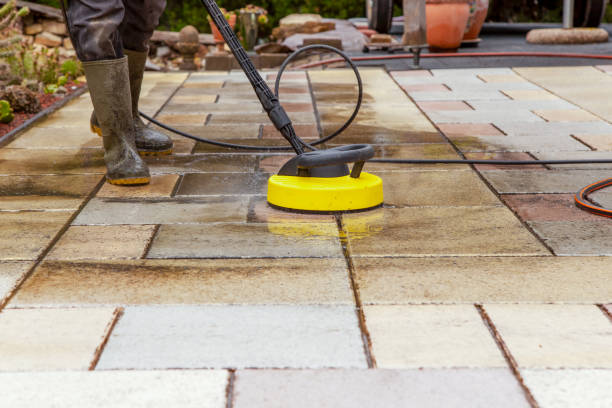 Best Animal Enclosure Cleaning  in Newton, AL