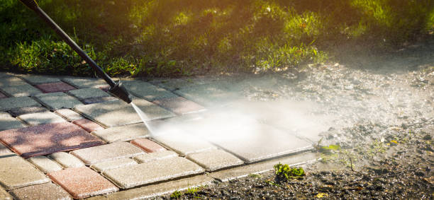 Best Fence Cleaning  in Newton, AL